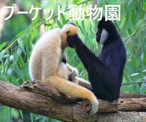 プーケット動物園