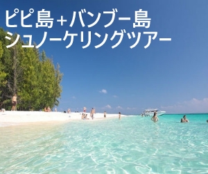 ピピ島+バンブー島シュノーケリングツアー