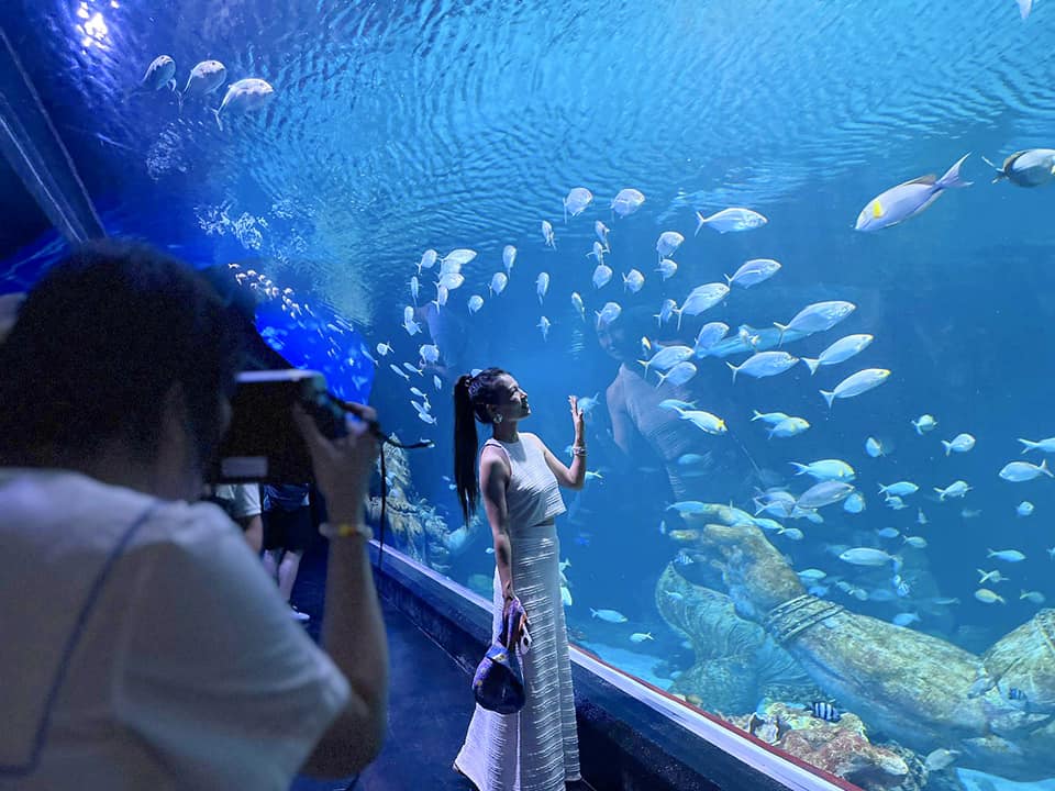 アクアリア・プーケット(Aquaria Phuket)|タイ最大級の水族館