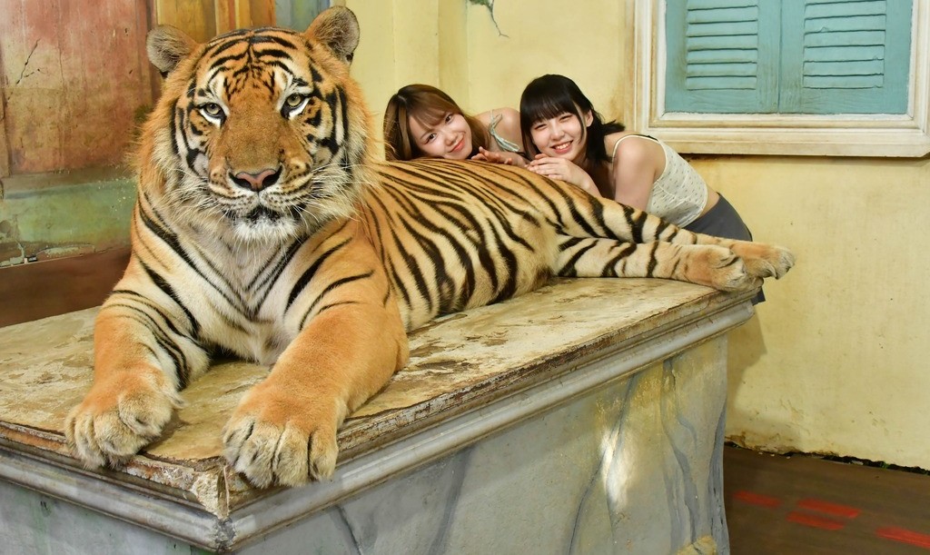 タイガーキングダムプーケット