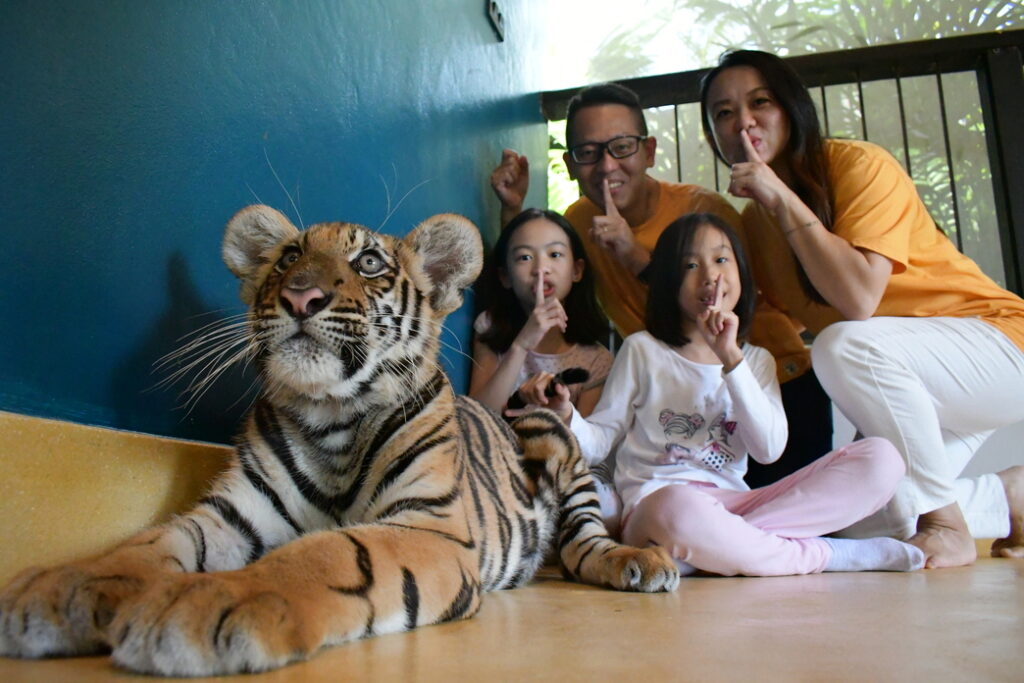 タイガーパークプーケット小虎