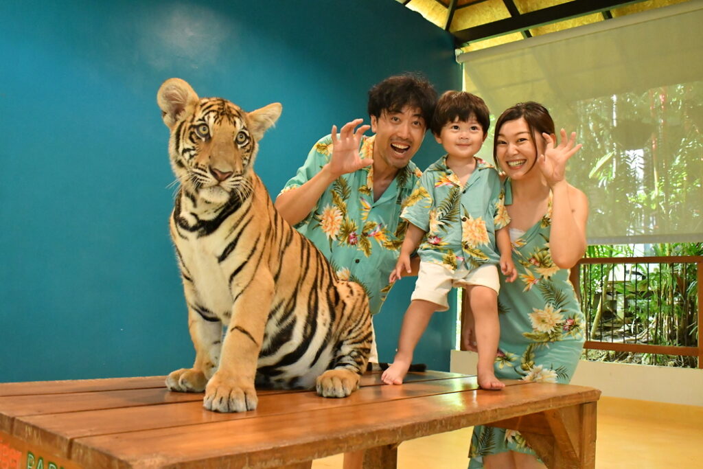 タイガーパーク