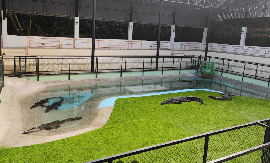 「Phuket Crocodile World(クロコダイルワールド)」