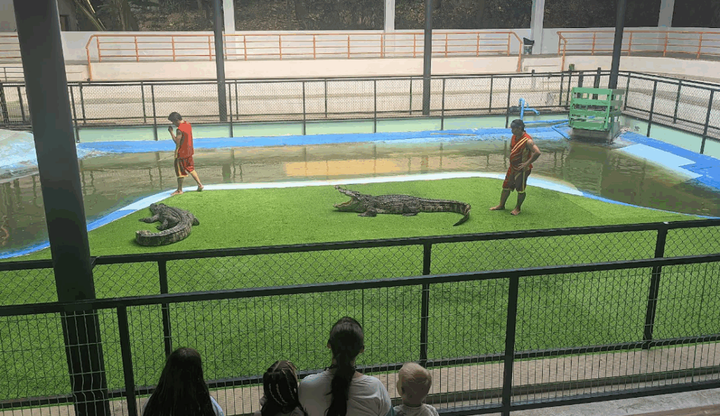 「Phuket Crocodile World(クロコダイルワールド)」