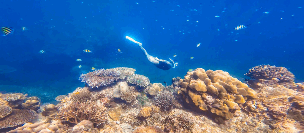 スリン諸島シュノーケリング1本目