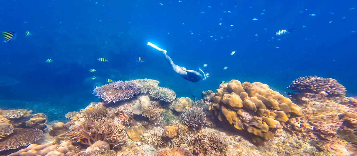 スリン諸島シークレット日帰りトリップ|Surin Secret One Day Trip