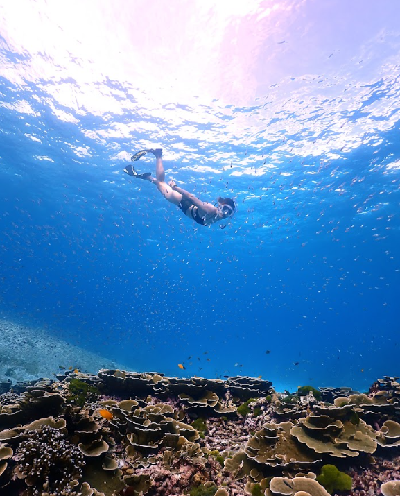 シミラン諸島の透明度高い海がわかる画像です