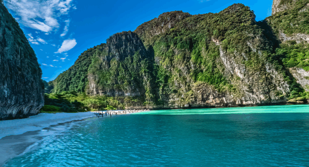 ピピ島・マヤベイ人気№1です