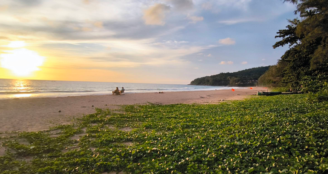 写真映えの隠れ家ビーチ｜ナイチョンビーチ＋ウッドブリッジ完全ガイド