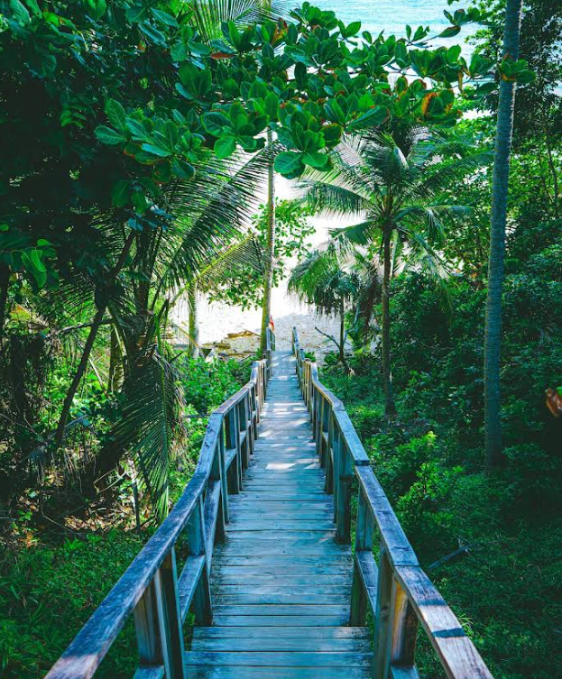 ナイトンビーチのウッドブリッジは人気の撮影スポットです