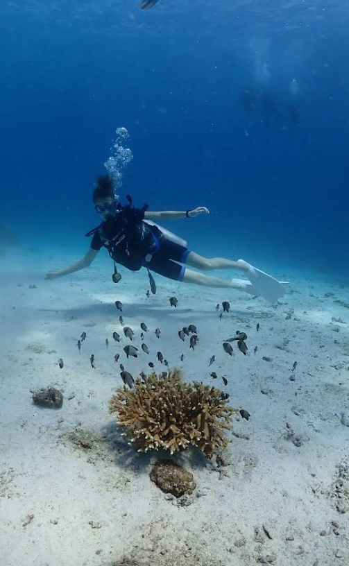 プーケットチャーター船・ラチャヤイ島+ラチャノイ島体験ダイビングも可能です