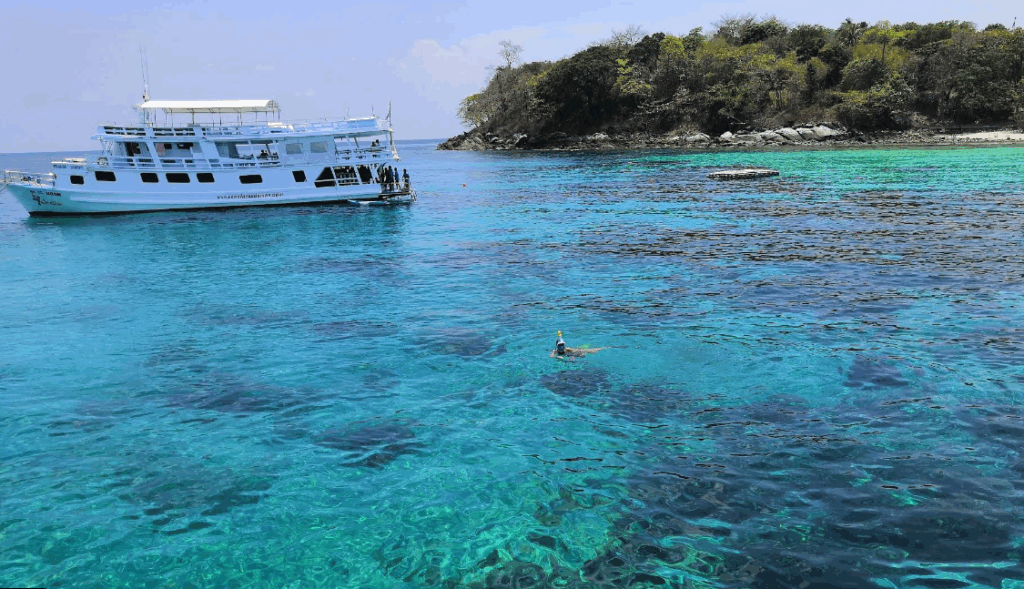 ラチャヤイ島チャーター船でシュノーケリングエリア（ラチャヤイ島Bay2 ）