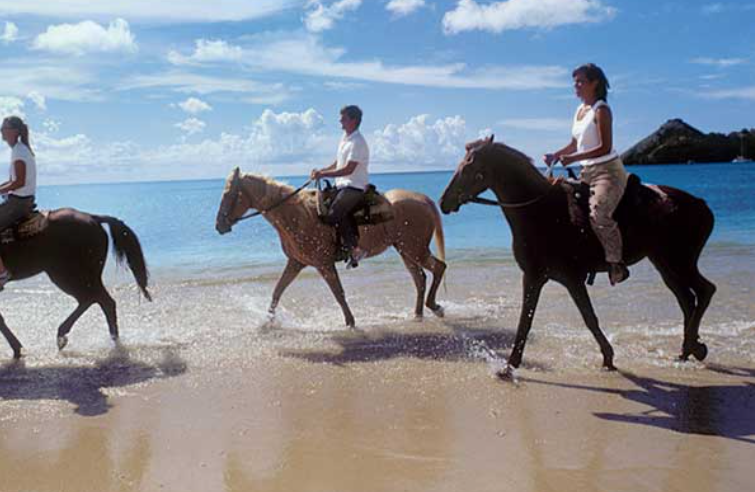 ラグーナビーチ・乗馬ツアーの様子・経験者のコース