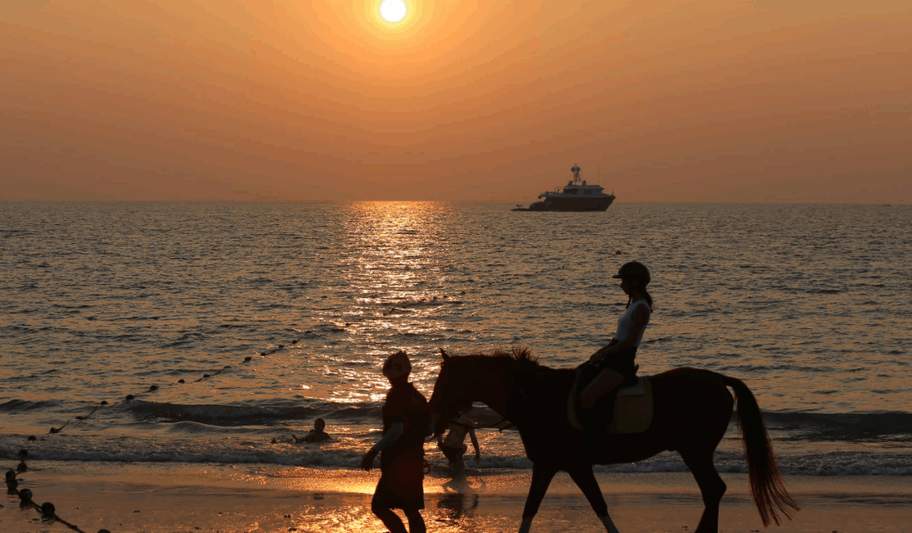 サンセットタイム乗馬で散歩の画像