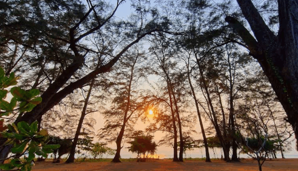 ナイヤーンビーチでは水平線に沈むサンセットが見れます