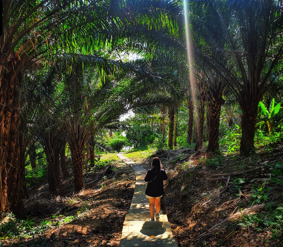 フリーダムビーチへの陸路はいくつかルートあるので予め検索していくと良いです