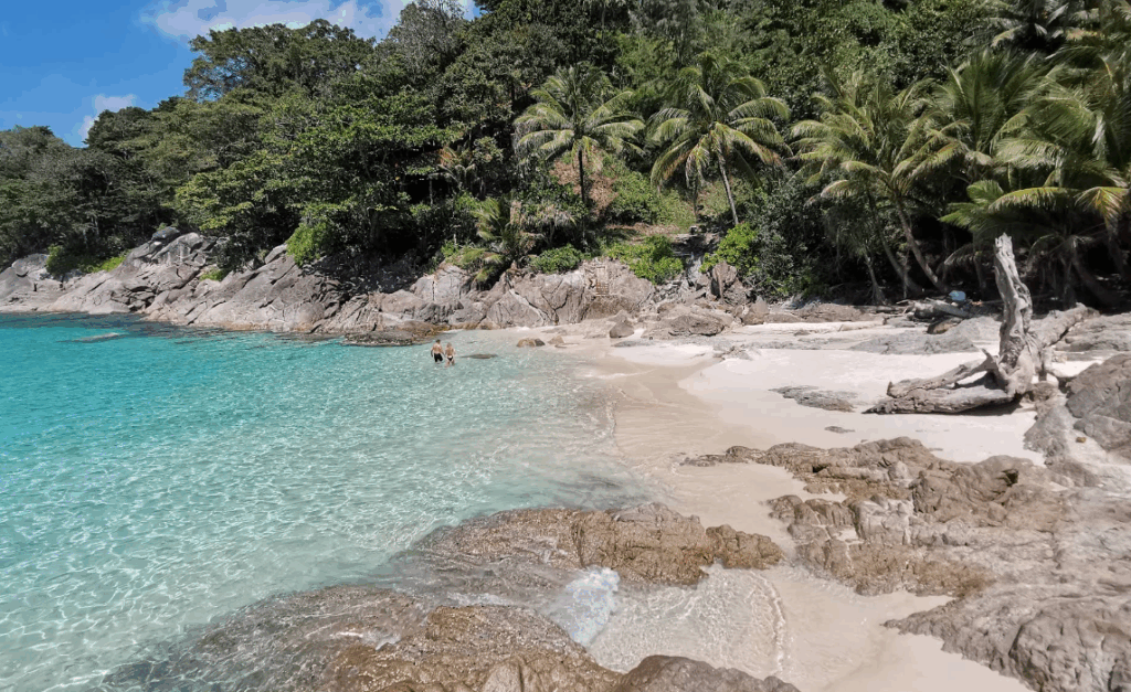 フリーダムビーチ北側のシュノーケリングエリア、岩沿いで遊ぶと良いです。