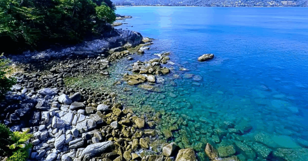 南側岩場エリアでのシュノーケリング