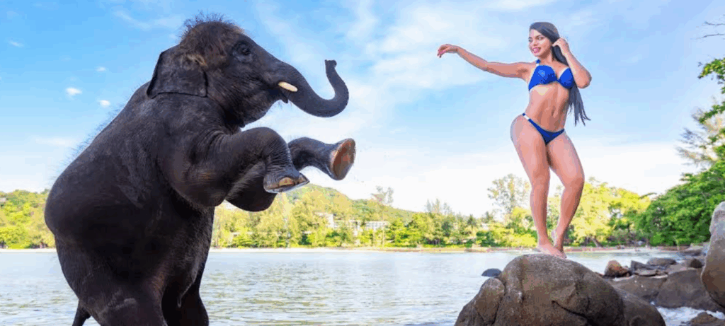 トリトランビーチで象さんと遊べます、絶対訪れたいスポットです