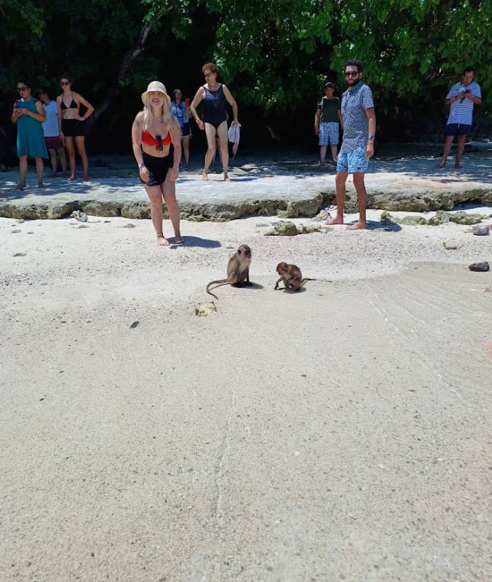 プーケット発 ピピ島＋マヤベイ チャーター船ツアーでモンキービーチへ上陸し撮影タイム