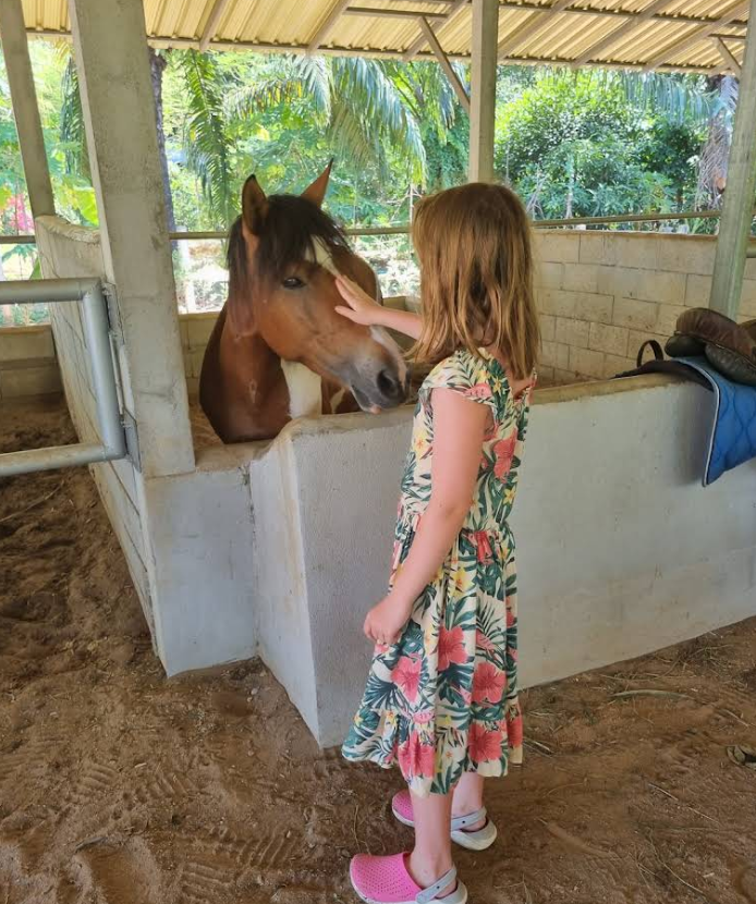 乗馬の合間に馬と触れ合える時間もある