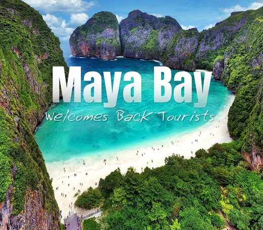 タイで最も有名な観光名所ピピ諸島(マヤベイ)