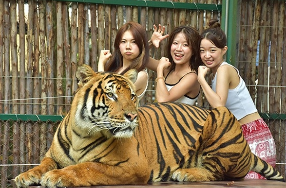 グループ旅行で最高の記念撮影になります