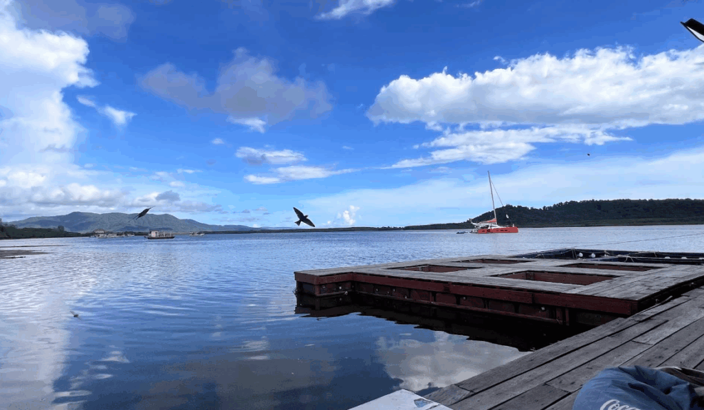 生け簀から新鮮なシーフードを調理してくれます