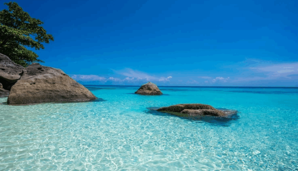 プリンセスベイ(Princess Bay)