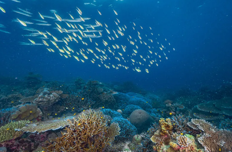 Mai-Ngam Beach(マイガムビーチ)