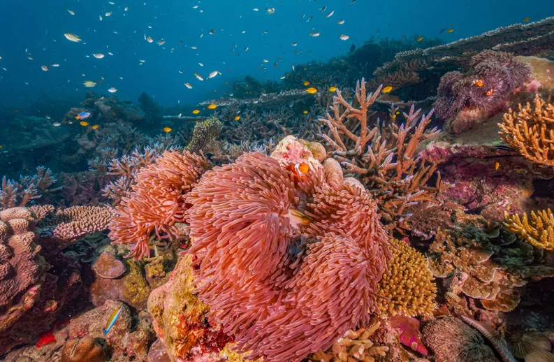 Suthep Bay North / South(スッテープ湾)