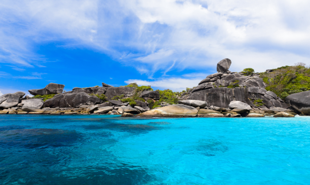 シミラン諸島№8ドナルドダックベイでは高確率でアオウミガメに会えます