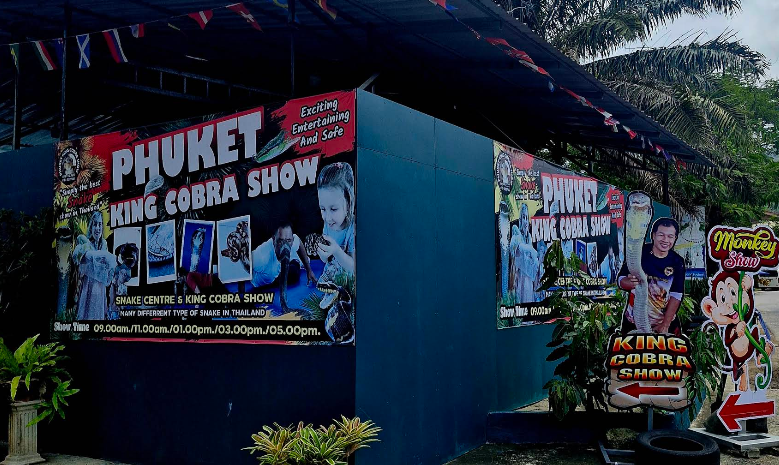 プーケットで体験する迫力満点のコブラショー