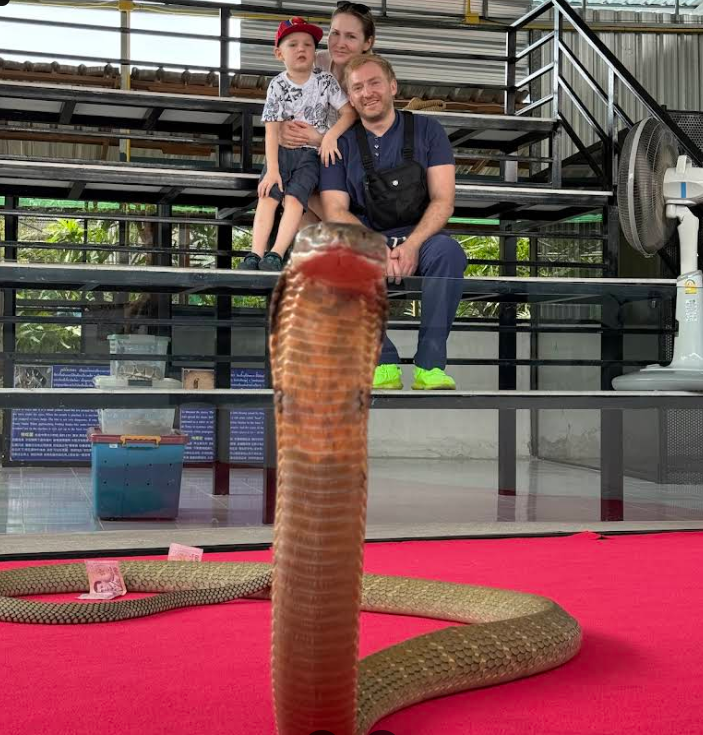 キングコブラと一緒に撮影できます