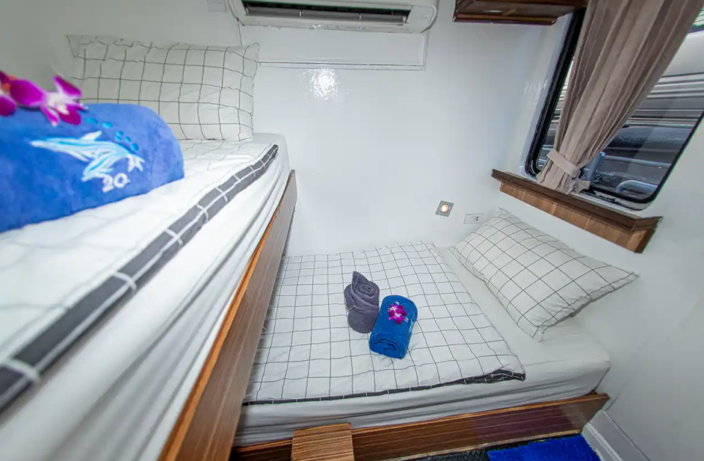 コンフォート・ツイン（二段ベッド）