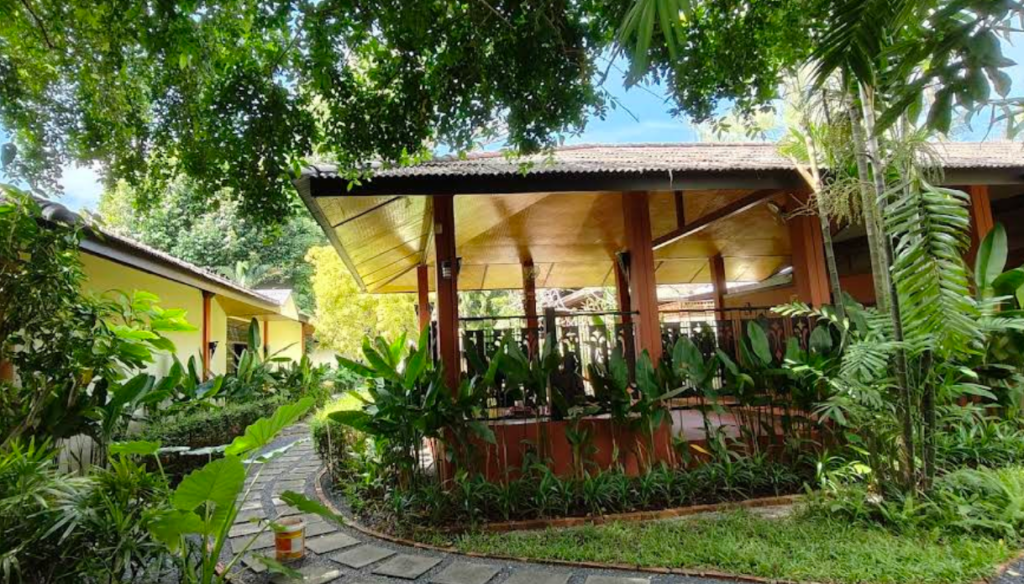 自然があふれる施設内