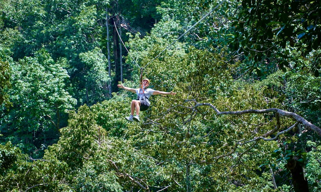 ジップライン(メインアトラクション)