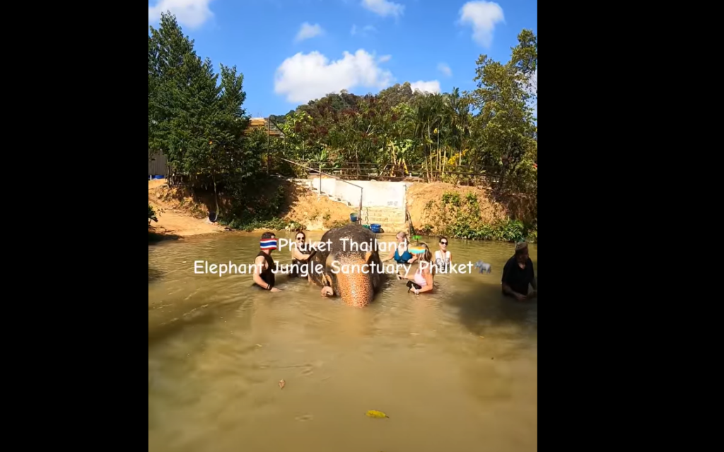 Elephant Jungle Sanctuary Phuketボディスクラブ体のケアをしていきます