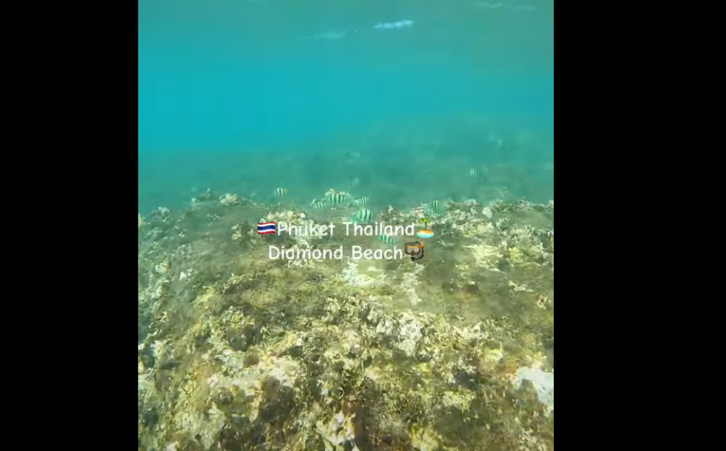 ダイアモンドビーチでシュノーケリングをしみた、魚は少ないです