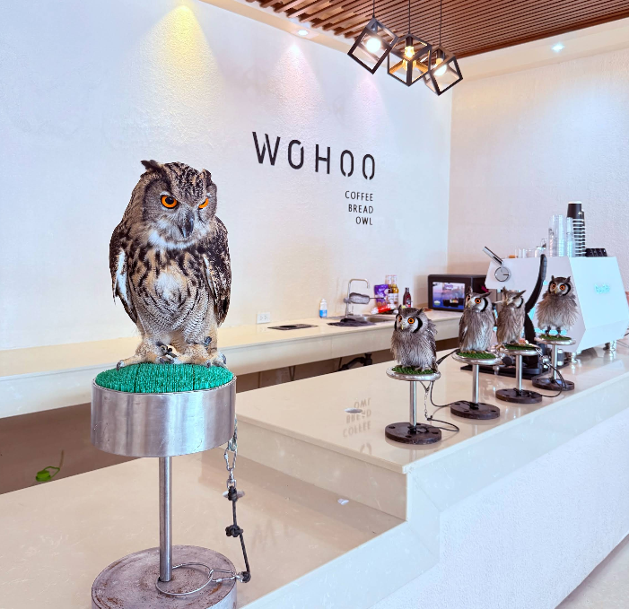 プーケットフクロウカフェ・WoHoo Cafe