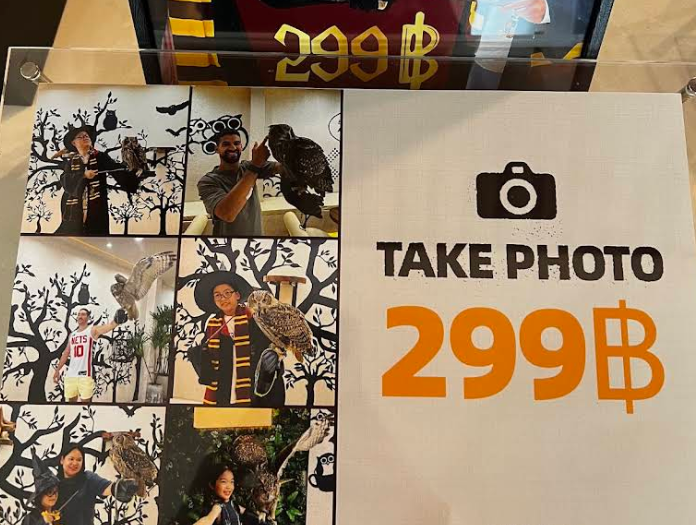 1名様299バーツでフクロウと一緒に撮影可能