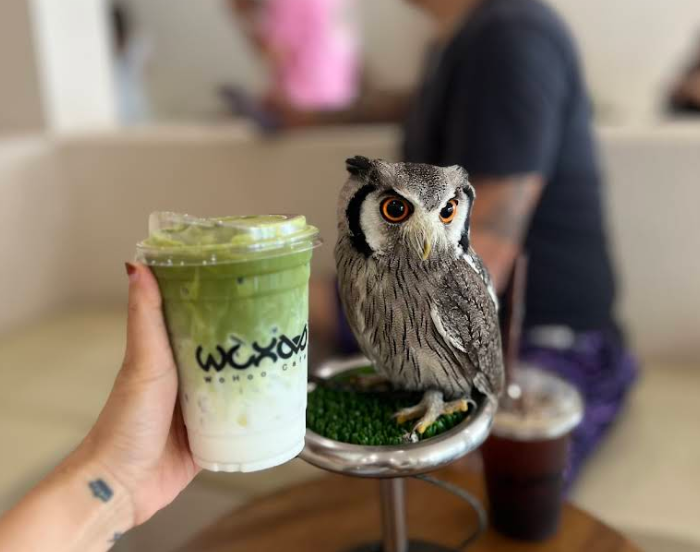 可愛いフクロウとカフェラテ