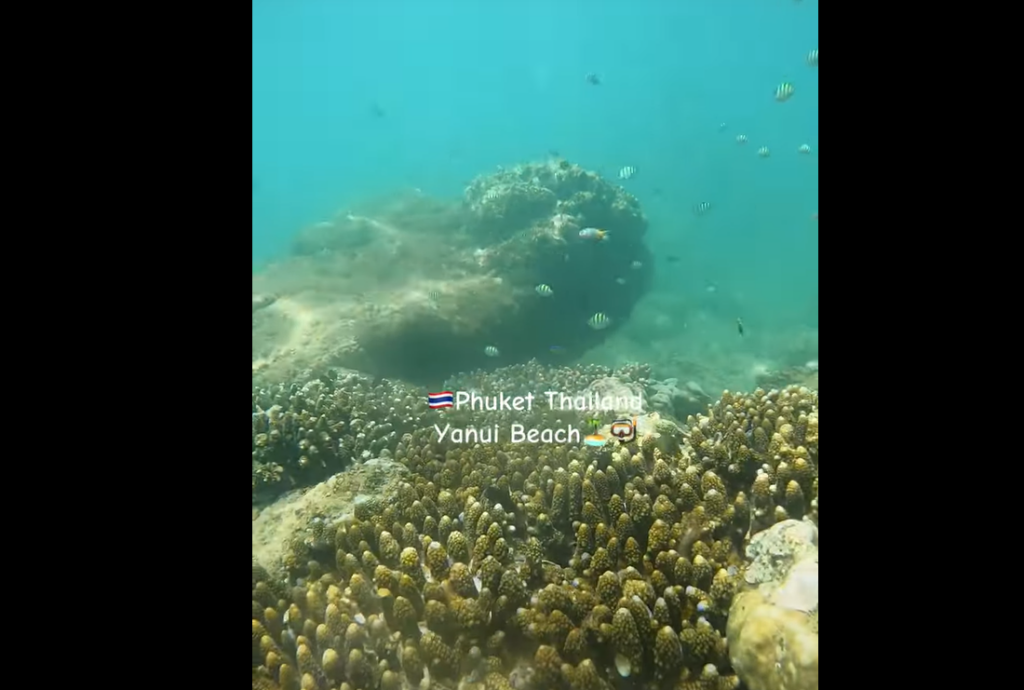 岩場と珊瑚が点在し魚の住処になっている