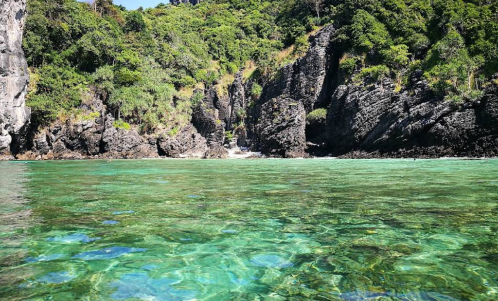 透明度は抜群で見るだけでもワクワクする