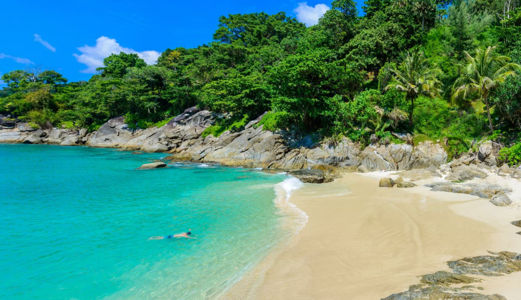 フィン+マスクは持参していくとより楽しめます