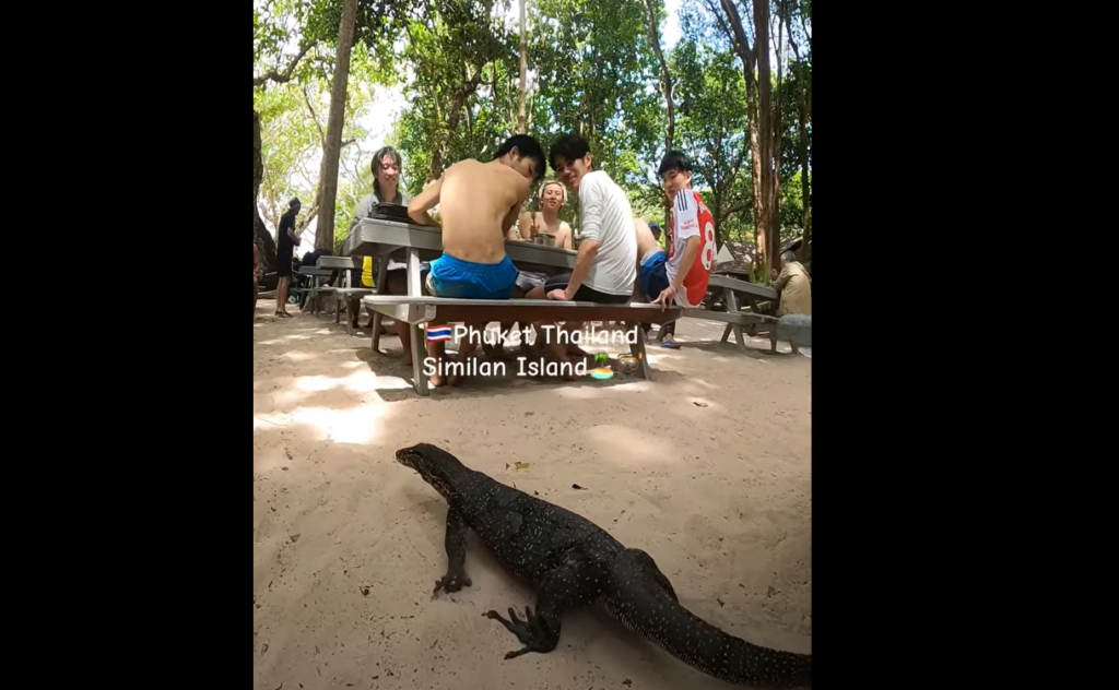 シミラン諸島№8でランチタイム