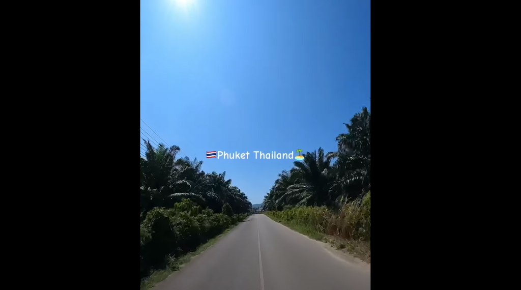 パイナップルの栽培も行われてる地域で写真撮影スポットしても良い