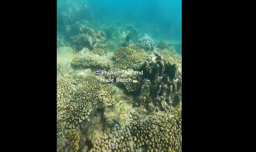Shadow Beachの水中の様子