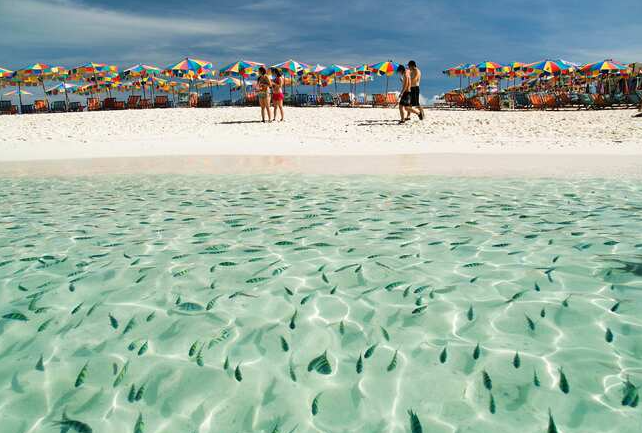 プーケットから スピードボートで約20分。短時間半日ツアーで行ける人気の離島です。