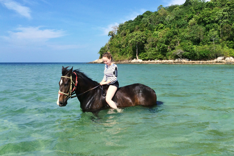ラグーナ地区では早朝のみ海に入る乗馬もあります